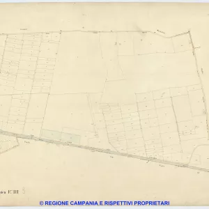 Acerra 3