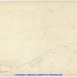 Acerra 4