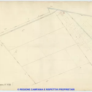 Acerra 8