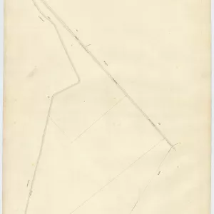 Acerra 11