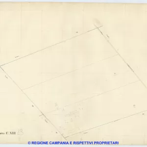 Acerra 13