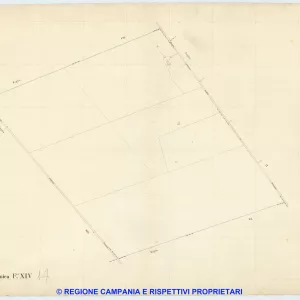 Acerra 14