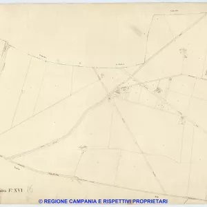 Acerra 16
