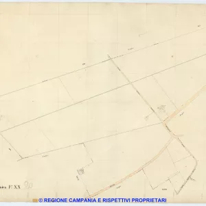 Acerra 20