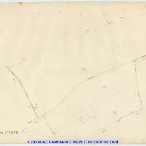 Acerra 27