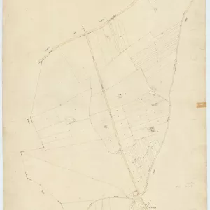 Acerra 33