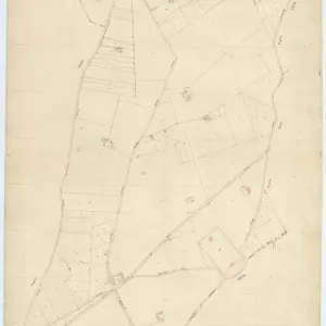 Acerra 34