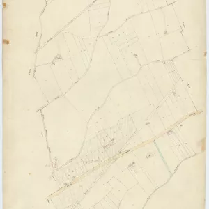 Acerra 35