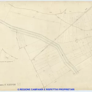 Acerra 38