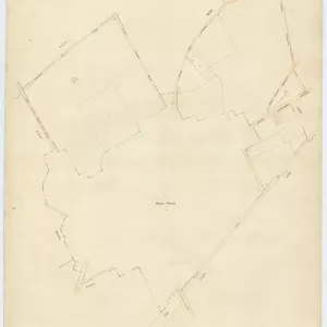 Acerra 39