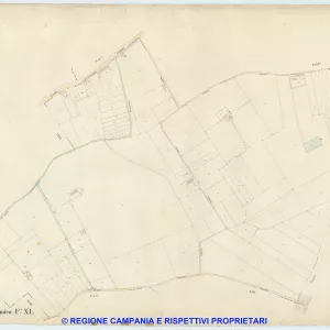 Acerra 40