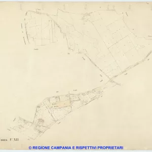 Boscoreale 12