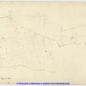 Boscoreale 14