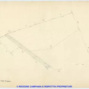 Caivano 7