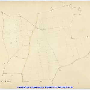 Caivano 15