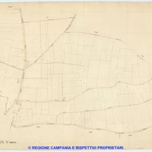 Caivano 19