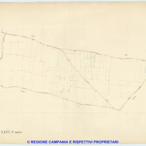 Caivano 26