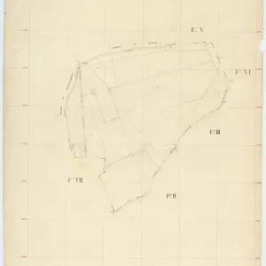 Cardito 2