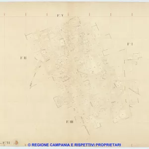 Cardito 6