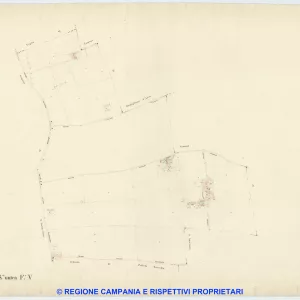 Casalnuovo 5