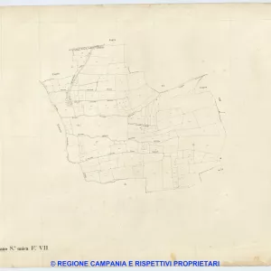 Casamarciano 7