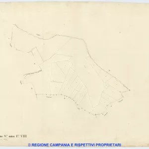 Casamarciano 8