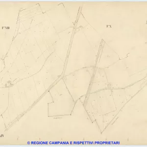 Casoria 14