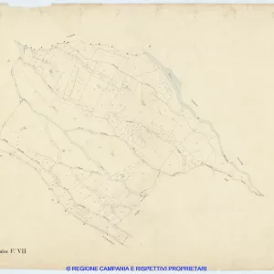 Cercola 7