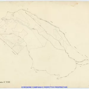 Cercola 8