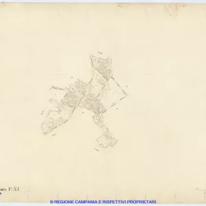 Cercola 11