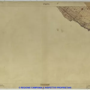 Prota