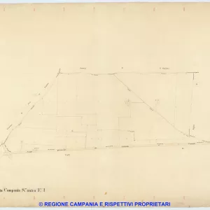Giugliano 1