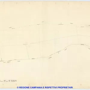 Giugliano 24
