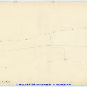 Giugliano 37