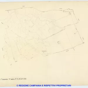 Giugliano 78