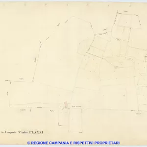 Giugliano 81