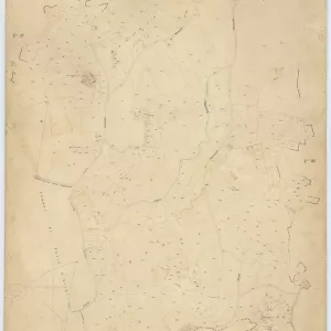 Lacco Ameno 5