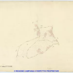 Lettere 23