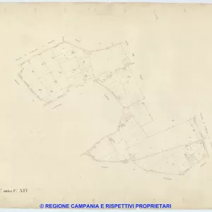 Barra 14
