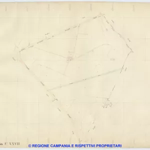 Napoli 25
