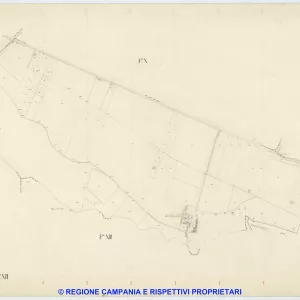 Pianura 12