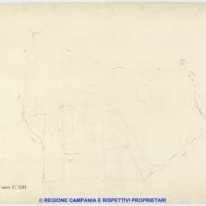 Pianura 13