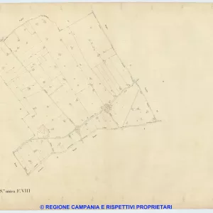 Ponticelli 8