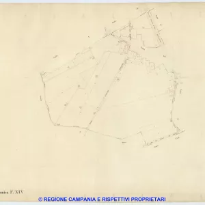 Ponticelli 14