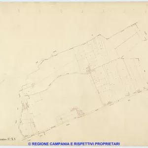 Ponticelli 15