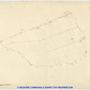 Ponticelli 16
