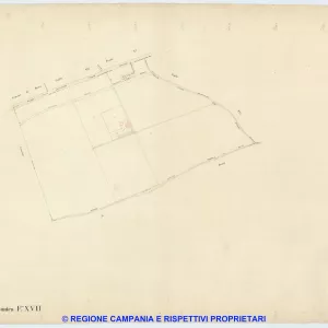 Ponticelli 7