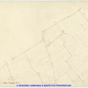 Palma Campania 1