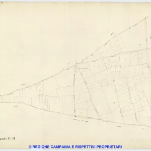 Palma Campania 2