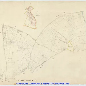Palma Campania 4